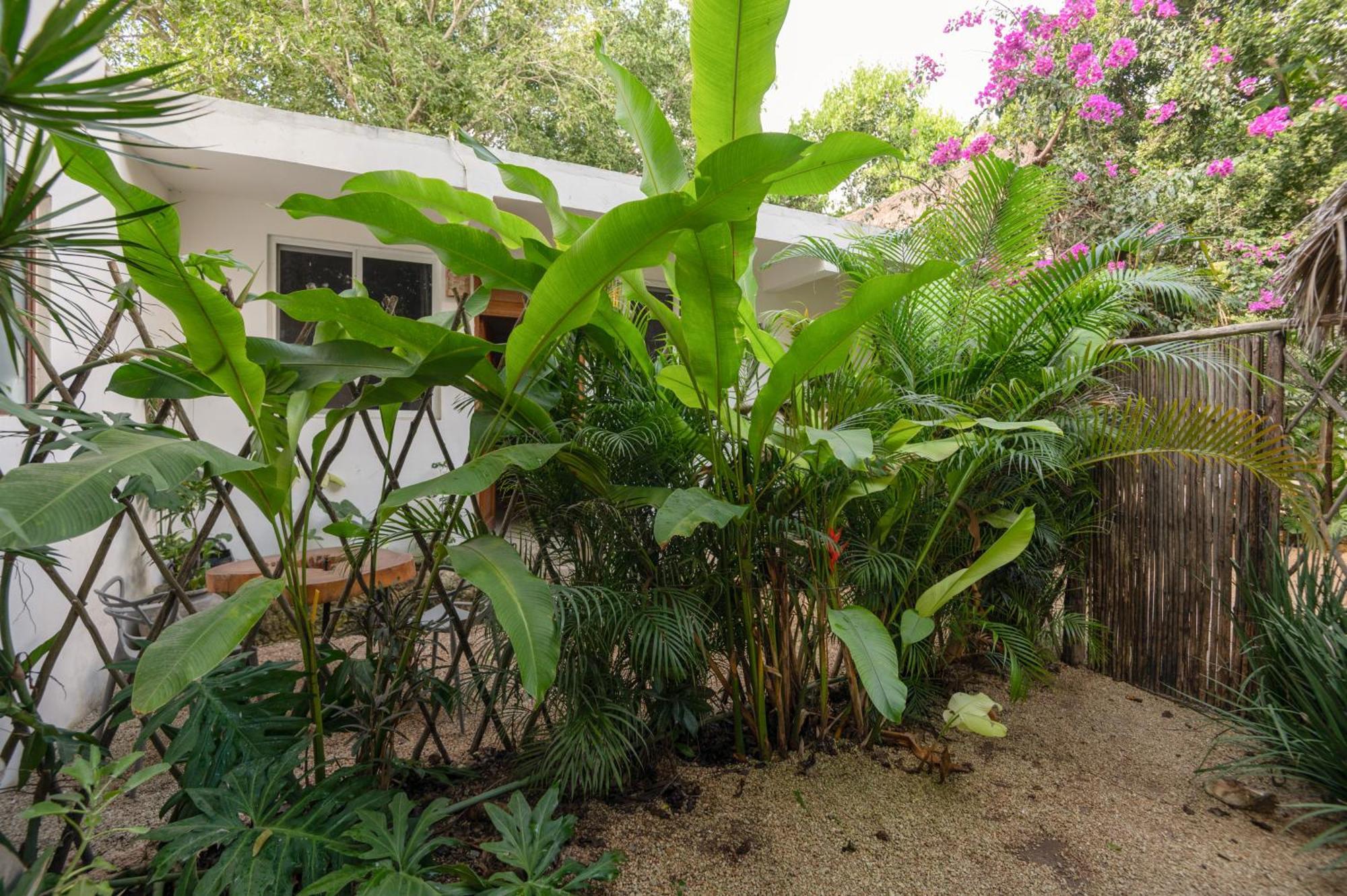 Apartament Huaya Camp Playa del Carmen Zewnętrze zdjęcie